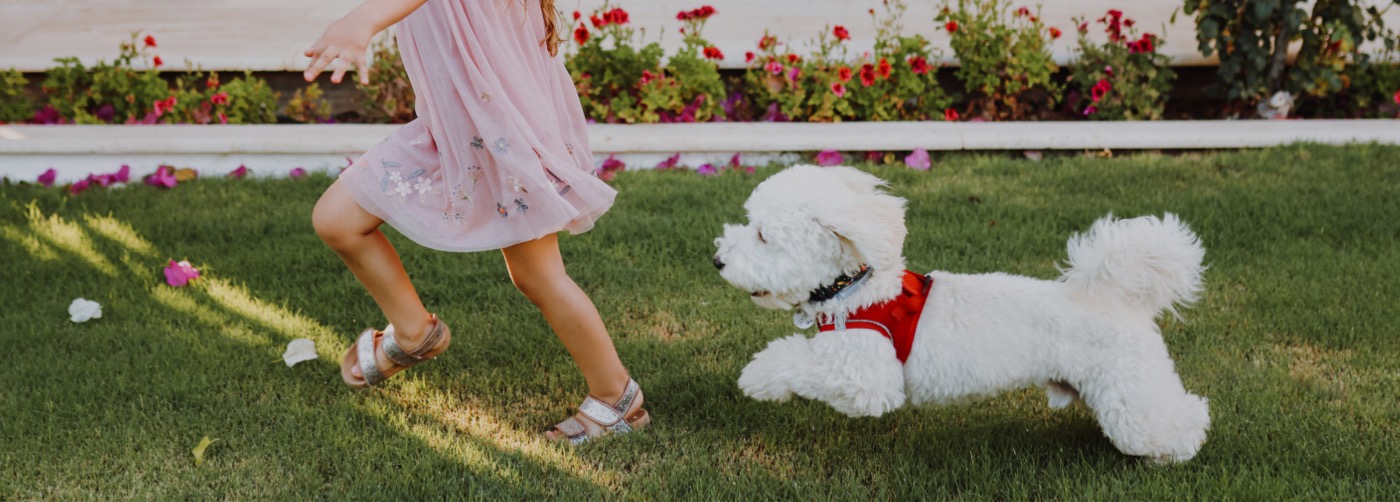 DogWatch of Reno-Tahoe and Sacramento, Reno, Nevada | Outdoor Hidden Dog Fences Slider Image